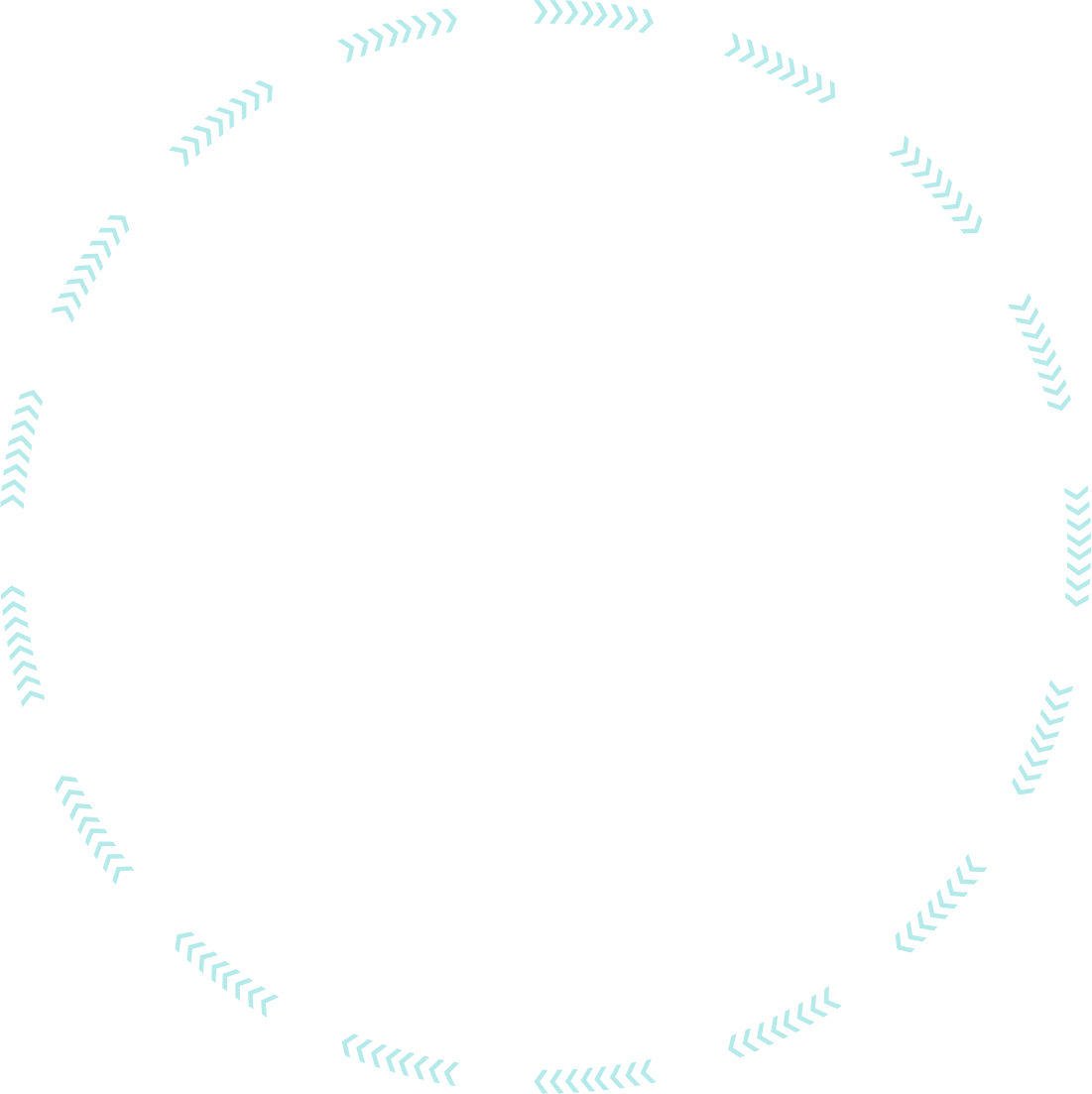 spin1